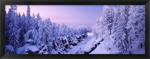 Framed Snow covered trees in a forest, Imatra, Finland Print