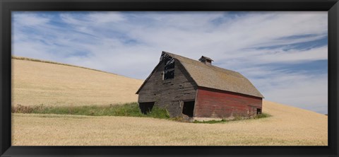 Framed Barn in a wheat field, Colfax, Whitman County, Washington State, USA Print