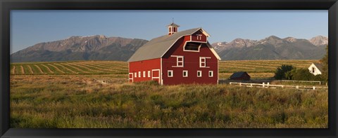 Framed Barn in a field with a Wallowa Mountains in the background, Enterprise, Wallowa County, Oregon, USA Print