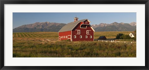 Framed Barn in a field with a Wallowa Mountains in the background, Enterprise, Wallowa County, Oregon, USA Print