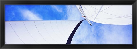 Framed Low angle view of sails on a Sailboat, Gulf of California, La Paz, Baja California Sur, Mexico Print