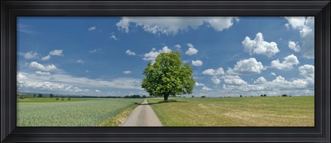 Framed Country road passing through a field, Horb Am Neckar, Baden-Wurttemberg, Germany Print