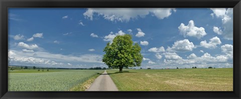 Framed Country road passing through a field, Horb Am Neckar, Baden-Wurttemberg, Germany Print