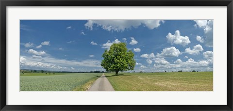 Framed Country road passing through a field, Horb Am Neckar, Baden-Wurttemberg, Germany Print