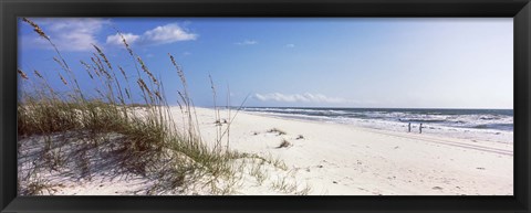 Framed Tall grass on the beach, Perdido Key Area, Gulf Islands National Seashore, Pensacola, Florida, USA Print