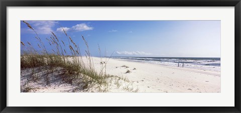 Framed Tall grass on the beach, Perdido Key Area, Gulf Islands National Seashore, Pensacola, Florida, USA Print