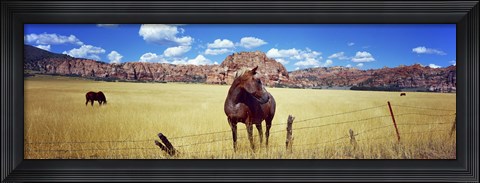 Framed Horses Grazing at Kolob Reservoir, Utah Print