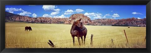 Framed Horses Grazing at Kolob Reservoir, Utah Print