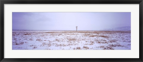 Framed Snow covered landscape in winter, Antelope Flat, Grand Teton National Park, Wyoming, USA Print