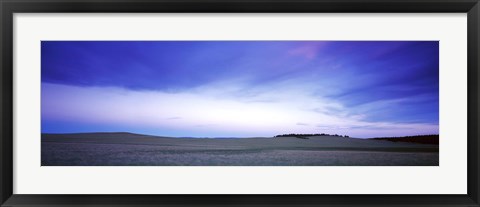 Framed Buffalo farm at dusk, Clear Creek Ranch, Utah, USA Print