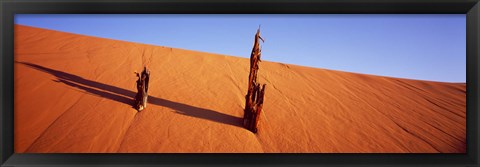 Framed Dead Pines at Coral Pink Sand Dunes State Park, Utah Print