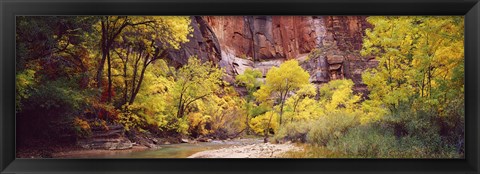 Framed Creek at sunset, Death Valley, California, USA Print