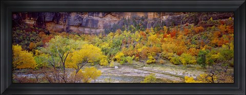 Framed Big Bend in fall, Zion National Park, Utah, USA Print
