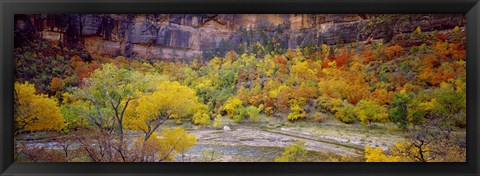 Framed Big Bend in fall, Zion National Park, Utah, USA Print