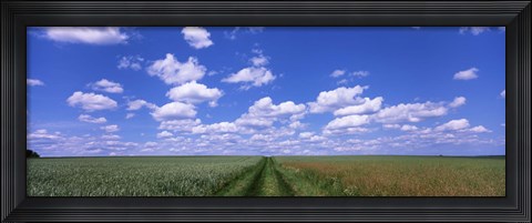 Framed Road through agriculture fields, Baden-Wurttemberg, Germany Print