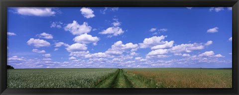Framed Road through agriculture fields, Baden-Wurttemberg, Germany Print