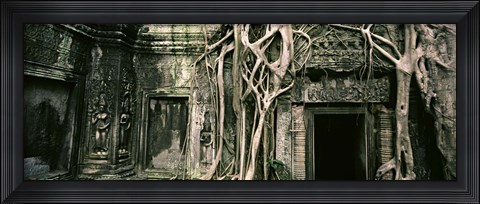 Framed Ruins of Ta Prohm Temple, Angkor, Cambodia Print