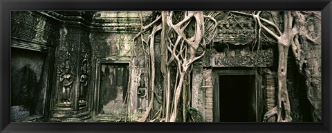 Framed Ruins of Ta Prohm Temple, Angkor, Cambodia Print