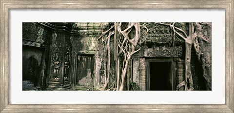 Framed Ruins of Ta Prohm Temple, Angkor, Cambodia Print