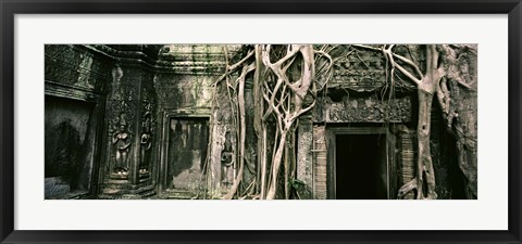 Framed Ruins of Ta Prohm Temple, Angkor, Cambodia Print