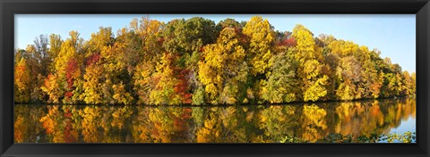 Framed Reflection of trees in a lake, Strawbridge Lake, Moorestown, New Jersey, USA Print