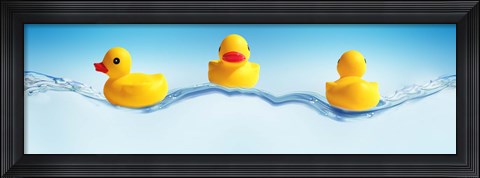 Framed Three ducks on water Print