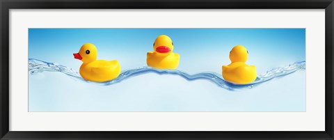 Framed Three ducks on water Print