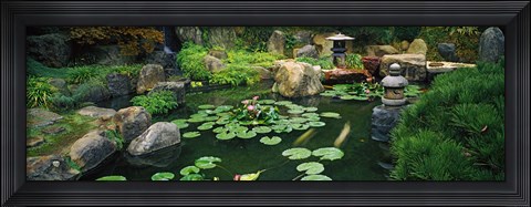 Framed Japanese Garden at University of California Print