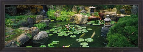 Framed Japanese Garden at University of California Print