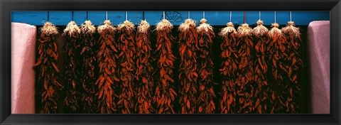 Framed Red peppers drying, New Mexico, USA Print