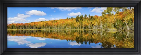 Framed Reflection of trees in a lake, Pete&#39;s Lake, Schoolcraft County, Upper Peninsula, Michigan, USA Print