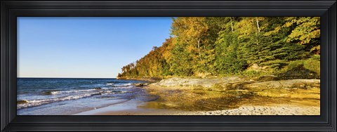 Framed Trees on the beach, Miner&#39;s Beach, Pictured Rocks National Lakeshore, Upper Peninsula, Michigan, USA Print