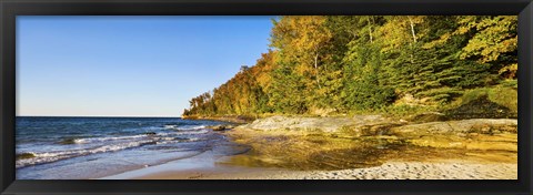 Framed Trees on the beach, Miner&#39;s Beach, Pictured Rocks National Lakeshore, Upper Peninsula, Michigan, USA Print