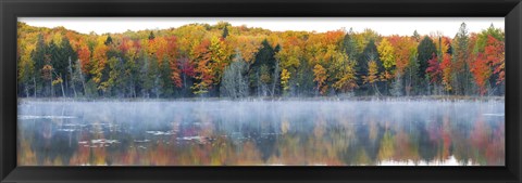 Framed Trees in autumn at Lake Hiawatha, Alger County, Upper Peninsula, Michigan, USA Print