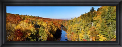Framed Trees in Autumn at Dead River, Michigan Print