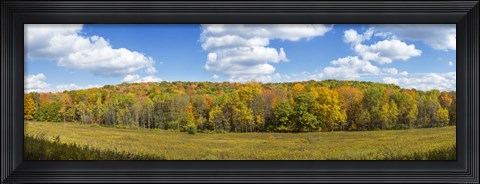Framed Autumn Trees in New York Print