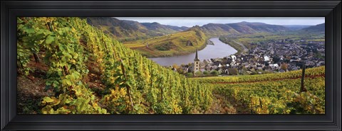 Framed High angle view of vineyards with town along the river, Bremm, Mosel River, Calmont, Rhineland-Palatinate, Germany Print