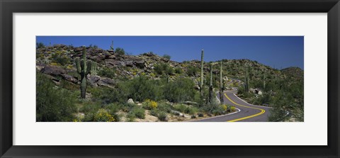 Framed Road Through The Desert, Phoenix, Arizona, USA Print