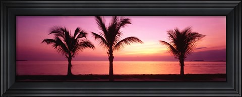 Framed Miami Beach, Florida, USA Print