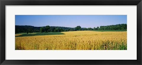 Framed Field Crop, Maryland, USA Print