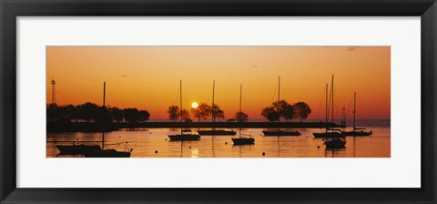 Framed Silhouette of sailboats in a lake, Lake Michigan, Chicago, Illinois, USA Print