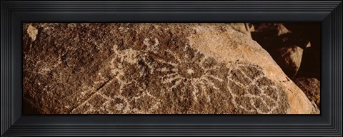 Framed Close-up of petroglyphs on a rock, Saguaro National Park, Tucson, Arizona, USA Print