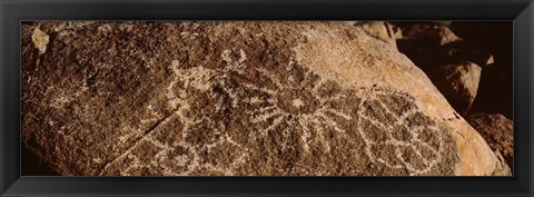 Framed Close-up of petroglyphs on a rock, Saguaro National Park, Tucson, Arizona, USA Print