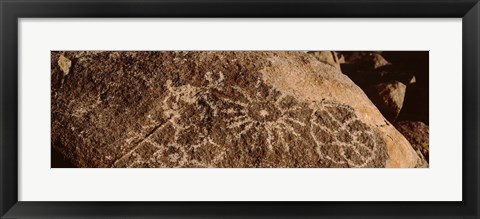 Framed Close-up of petroglyphs on a rock, Saguaro National Park, Tucson, Arizona, USA Print