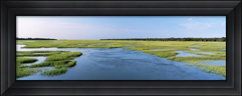 Framed Sea grass in the sea, Atlantic Coast, Jacksonville, Florida, USA Print
