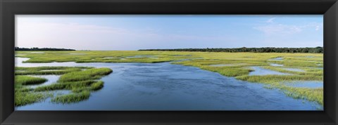 Framed Sea grass in the sea, Atlantic Coast, Jacksonville, Florida, USA Print