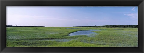 Framed USA, Florida, Jacksonville, Atlantic Coast, Salt Marshes Print