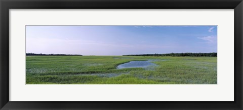 Framed USA, Florida, Jacksonville, Atlantic Coast, Salt Marshes Print