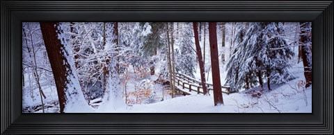 Framed Winter footbridge Cleveland Metro Parks, Cleveland OH USA Print
