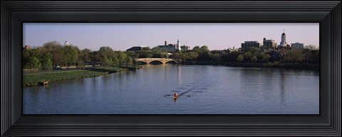 Framed Boat in a river, Charles River, Boston &amp; Cambridge, Massachusetts, USA Print